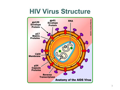 HIV Diagnostics: New Technologies and Strategies