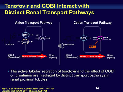 Post CROI 2012 Update